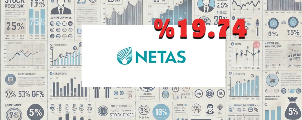 NETAŞ (NETAS) Hisseleri Son Bir Ayda %19.74 Değer Kaybetti